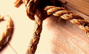 Irán: mire fel a sok akasztófa?